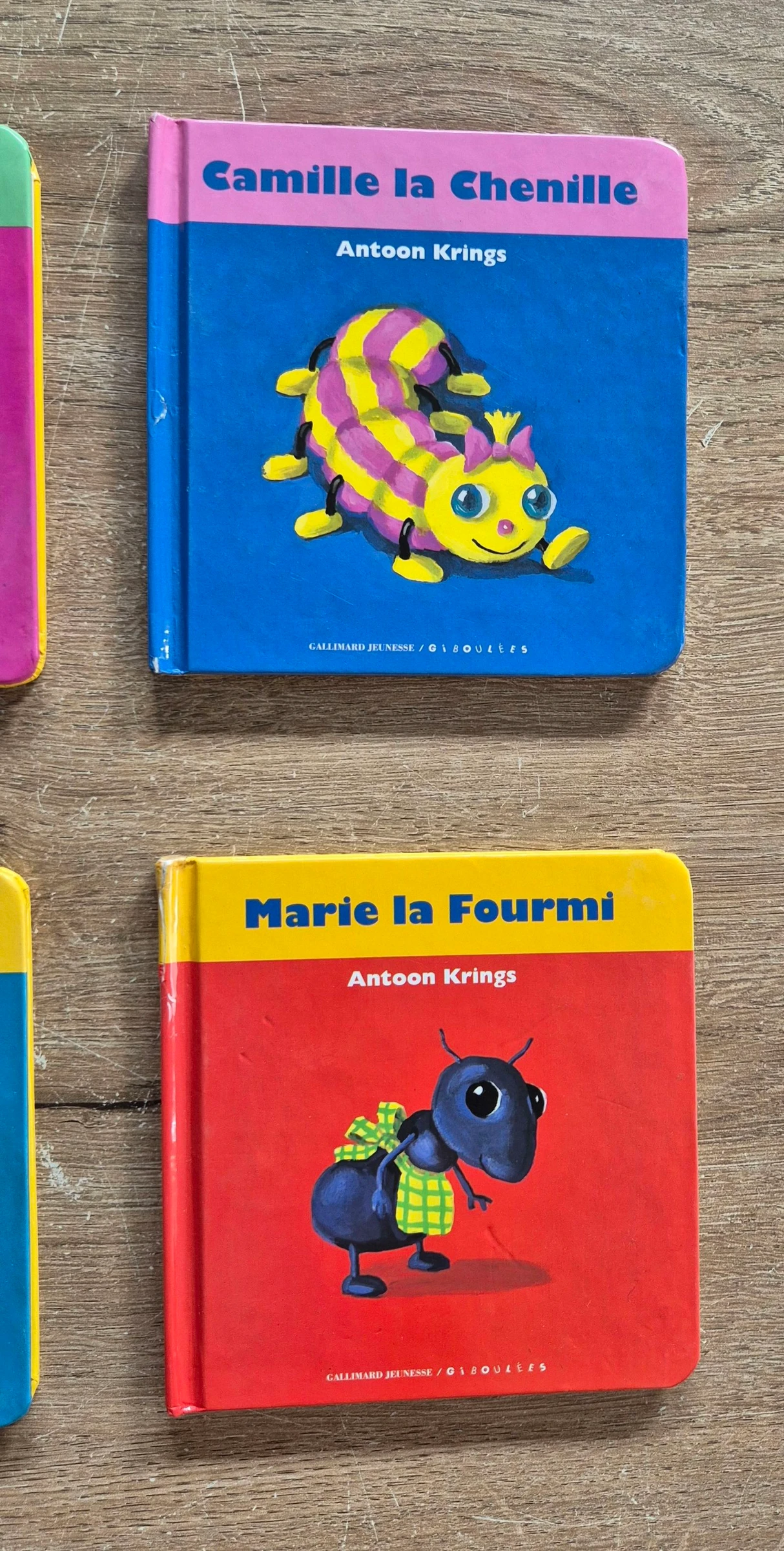 Cofre coleccionista Drôles de petites bêtes – photo 7